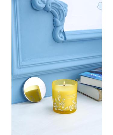 Coconut Mandarin Vanilla Candles - Luxury Highly Scented Soy Candles for Home | Tropical Beach Aromatherapy Relaxation Gifts - Buy Online on GoSupps.com