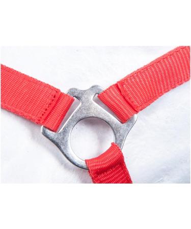 Buy RL24 Nylon Halter BASICLINE in Red for Warmbloods | International Shipping Available - Buy Online on GoSupps.com