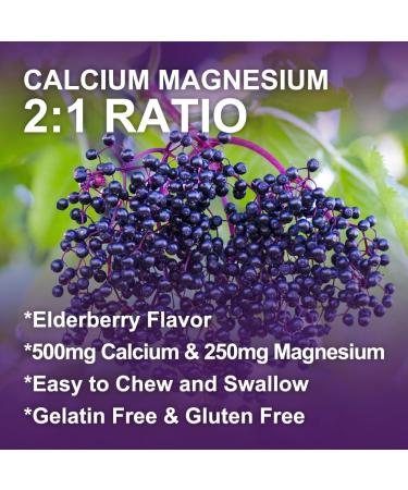 Calcium Magnesium Zinc Gummies with Vitamin D3 - High Absorption Complex Calcium Supplement with Sea Moss Elderberry for Bone Muscles Immune Mood & Sleep Support Vegan - 60 Gummies (2 Pack) Elderberry 60 Count (Pack of  - Buy Online on GoSupps.com
