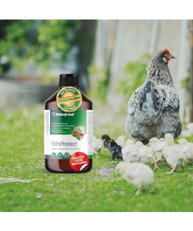 R hnfried Milbprotect 500ml - Natural Mite Prevention Supplement for Poultry | Year-Round Feeding with Herbs - Buy Online on GoSupps.com