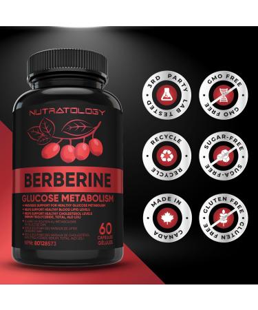 Berberine Supplement - Max Potency 500MG Per Capsule - Supports Glucose Metabolism - Healthy Blood Sugar Levels Through Efficient Metabolism Of Glucose (Sugar) And Lipids (Fats) - 60 Capsules 60 count (Pack of 1) - Buy Online on GoSupps.com