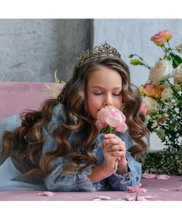 Baroque Vintage Black Crown with Crystal Accents - Perfect for Halloween & Special Occasions - Buy Online on GoSupps.com