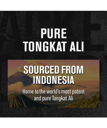 Jacked Factory Indonesian Tongkat Ali - 200:1 Extract for Men | Boost Vitality Mood & Energy | 120 Capsules - Buy Online on GoSupps.com