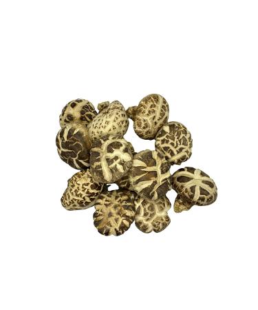 Premium Japanese White Flower Dried Shiitake Mushrooms - Grade AAA - 16 Ounces - Product of Japan by NATURAURA - Buy Online on GoSupps.com