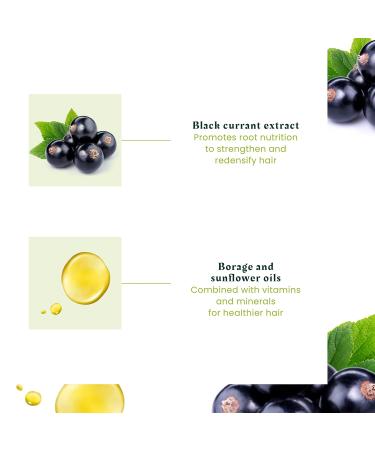 Ren Furterer - VITALFAN - Reactional Hair Thinning - Dietary Supplement Sudden Temporary Thinning Hair- 30 caps - Buy Online on GoSupps.com