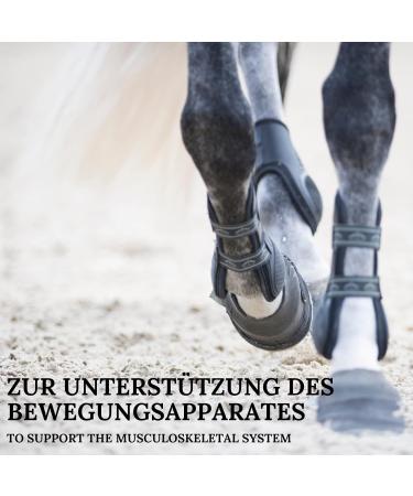 Buy MSM-Plus Liquid for Horses | Support Musculoskeletal Health with MSM Glucosamine & Chondroitin | 1L Joint Health Supplement - Buy Online on GoSupps.com