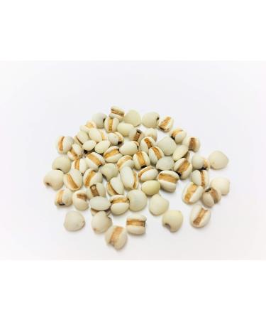 Natural Code - Dried Coix Seed 454g/1lb - Job's Tears - Semen Coicis - Yi Mi - Yi Yi Ren - Sheng Yi Mi - - - Non GMO - Vegan - No Preservatives or Additives - 100% Natural
