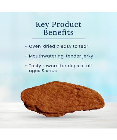 Blue Buffalo Nudges Natural Dog Treats Chicken Jerky 16oz - Buy Online on GoSupps.com