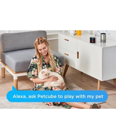 Petcube 2017: Smart Pet Camera with Interactive Laser Toy | HD Video, Two-Way Audio, Night Vision | App-Enabled Monitoring for Dog/Cat Safety - Buy Online on GoSupps.com