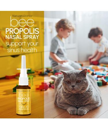Nature's Stance Bee Propolis Nasal Spray Dead Sea Salt Saline Solution Bee Propolis & Xylitol Blend Gentle pH-Balanced Nasal Cleanser Fast Acting - Buy Online on GoSupps.com