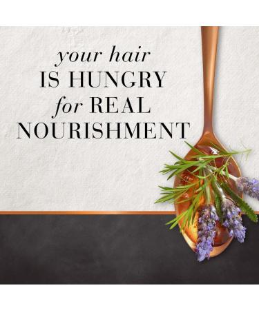 Tea Tree & Lavender Water Hair Conditioner - 10.1 fl oz (300ml) | Nourishing Hair Food - Buy Online on GoSupps.com