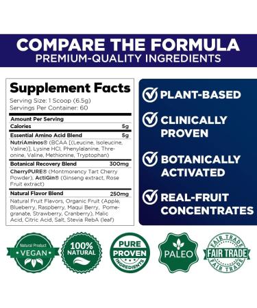 FUNDAMINOS â Vegan EAA/BCAA Powder â Organic Post Workout Amino Acid Supplement â Natural Energy Sport Drink for Quick Muscle Recovery â Sugar Free  100% Natural Paleo Friendly Product 120 Servings (Pack of 2) - Buy Online on GoSupps.com