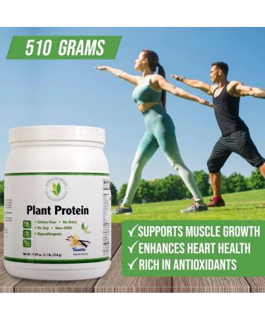 Organic Plant Protein Powder - Vanilla Flavor Gluten Free Dairy Free Soy Free - 17.99oz | Best International Shipping - Buy Online on GoSupps.com
