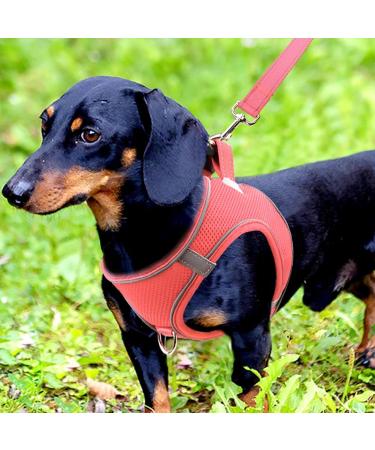 Joyal Reflective Soft Padded Dog Harness | Air-Mesh Breast Dishes for Small & Medium Dogs | Pink M (42-47cm) - International Shipping - Buy Online on GoSupps.com