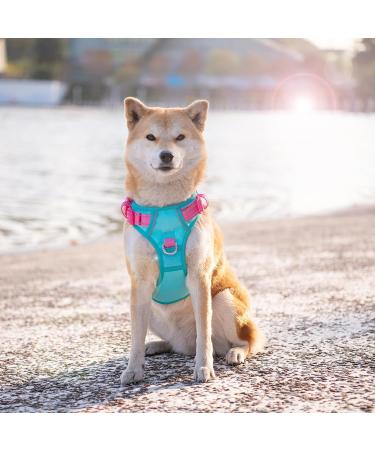 Phoepet No Pull Dog Harness - Reflective Vest with Soft Training Handle for All Dog Sizes - Mint Green & Pink XL - Buy Online on GoSupps.com
