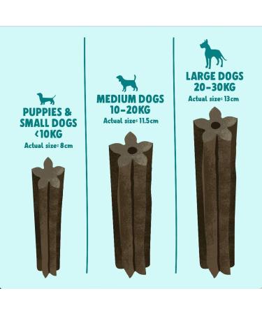 Denzel's Dog Dental Sticks - for Medium Dogs - Chicken & Peppermint (Pack of 28) Chicken & Peppermint 1 count (Pack of 28) - Buy Online on GoSupps.com