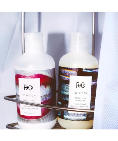 R+Co Television Perfect Hair Shampoo & Conditioner Set | 8.5 Oz + Cool Wind pH Travel Size | Vegan Cruelty-Free Body Shine & Smoothing for All Hair Types - International Shipping Available - Buy Online on GoSupps.com
