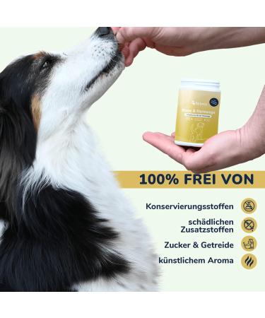Felmo Bladder & Urinary Tract Snacks for Dogs - 70 Grain-Free Treats for Bladder Support & Incontinence Relief - Buy Online on GoSupps.com