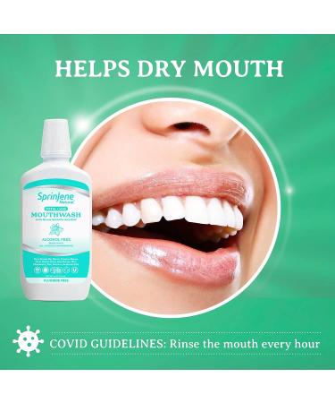Sprinjene Fluoride Free Mouthwash with Black Seed Oil & Zinc - Alcohol Free, SLS Free, Vegan & Halal (Natural) - Buy Online on GoSupps.com