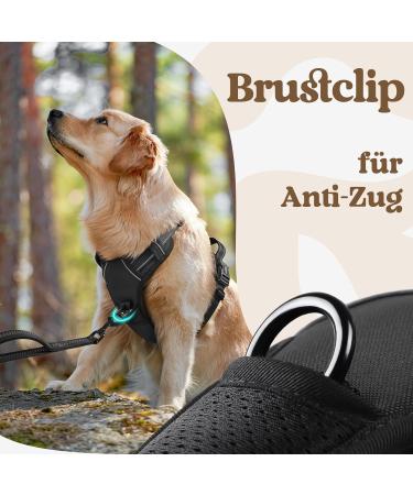 Rabbitgoo Dog Harness for Small Dogs - Adjustable No-Choke Reflective & Padded Chest Harness - Anti-Pull with Handle - Black (1 Pack) - Buy Online on GoSupps.com