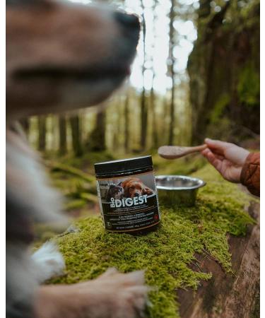 BiologicVET - BioDIGEST Plant Probiotic 200g All-Natural Advanced Dog & Cat Probiotic Powder with Prebiotics & Flax Relieves Diarrhea and Constipation Supports Digestion Allergy Immunity & Health 200.0 g (Pack of 1) - Buy Online on GoSupps.com