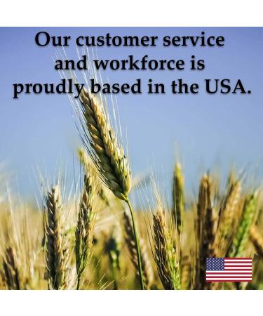 Organic Non-GMO Whole Oat Grain Seeds - 1 lb Re-Sealable Pouch | Sprouting, Oat Grass, Animal Feed, Storage | Oats Seed Grains with Husk Intact - Buy Online on GoSupps.com