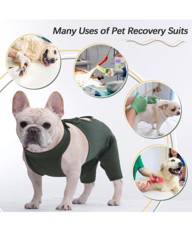 Kuoser Dog Recovery Suit for Male Dogs | Anti-Licking & E-Collar Alternative | Post-Op Body Suit for Dog Castration & Healing - Buy Online on GoSupps.com