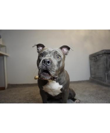 Bellfor Gutshof-Happen Hypoallergenic Grain-Free Soft Snack for Dogs with Highly Digestible Duck and Turkey without Animal By-Products 200 g - Buy Online on GoSupps.com