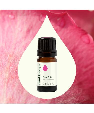 Plant Therapy Rose Otto Essential Oil 5 mL (1/6 oz) 100% Pure Undiluted Aromatherapy Skin Care Relaxing Romantic Aroma Undiluted 0.16 Fl Oz (Pack of 1) - Buy Online on GoSupps.com