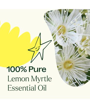 Plant Therapy Lemon Myrtle Essential Oil 10 mL (1/3 oz) 100% Pure Undiluted Aromatherapy for Immune Support Deodorizing and Mood Boosting - Buy Online on GoSupps.com