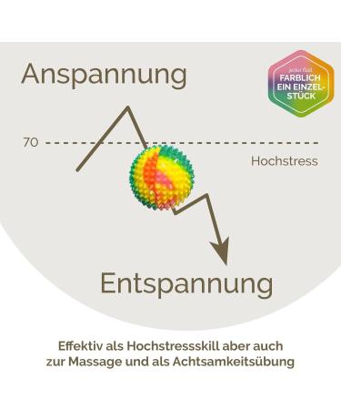 2x DBT Skills Hedgehog Ball - Magnetic Acupressure Stress Relief & Massage | Colorful 47mm Balls for Tension Relief Mobility & Concentration - Buy Online on GoSupps.com