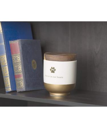 Pearhead Pet Ceramic Forever in Our Hearts Urn Gold - Memorial Pet Urn - Buy Online on GoSupps.com