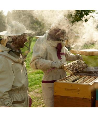 Earthbreath Raw Honey & Lingonberries 250g Unpasteurized Alternative to Pure Natural Jam No Additives No Sugar - Buy Online on GoSupps.com