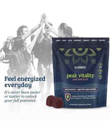 Peak Vitality Himalayan Shilajit Gummies for Strength, Energy & Optimal Health Sugar-Free, Vegan, All-Natural Cognitive Focus, Recovery, Immunity Watermelon Flavor, 60ct - Buy Online on GoSupps.com