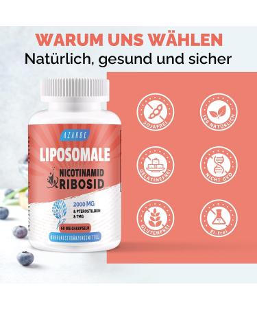 Liposomal Nicotinamide Riboside 2000 mg with TMG & Pterostilbene | Boost NAD+ & Cellular Energy | 60 Capsules (3-Pack) - More Effective than NMN - Buy Online on GoSupps.com