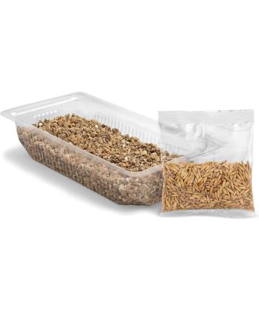 Vitakraft Cat Grass - Fresh & Ready Grown Cat Grass (120g) with Essential Vitamins & Minerals for Healthy Cats - Buy Online on GoSupps.com