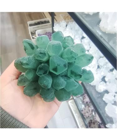 Natural Crystal Rough Crystal Cluster 300-1000g Natural Green Ghost Phantom Quartz Crystal Cluster Specimen (Size : 900-1000g) - Buy Online on GoSupps.com