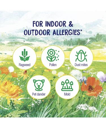 Boiron RhinAllergy Tablets - Allergy Relief for Sneezing, Runny Nose & Itchy Eyes | 60 Count - Buy Online on GoSupps.com
