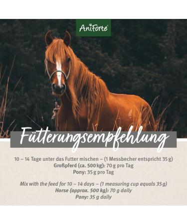 AniForte Bronchial Herbs for Horses 1kg - Natural Respiratory Support with Methylcysteine | Cough Relief & Healthy Airways - Buy Online on GoSupps.com