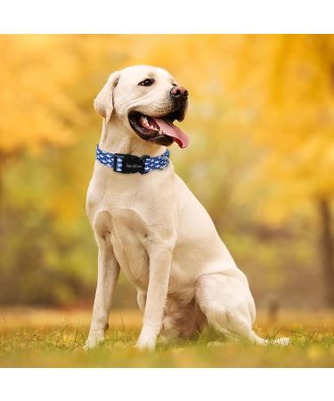 Unique Blue Shark Dog Collar - Halison Colle Stylish & Durable for Small Medium & Large Dogs - Buy Online on GoSupps.com