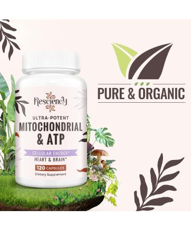 Resciency 2326 MG Mitochondrial Supplements with ATP, Vitamins, CoQ10 & PQQ, More Effective Than Creatine HMB & Nitric Oxide, Energy, Endurance, Strength, Recovery & Muscle, Organic, 120 Capsules 120 Count (Pack of 1) - Buy Online on GoSupps.com