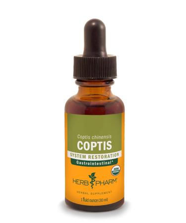 Herb Pharm Coptis Liquid Extract for Digestive Support 1 Fl oz 1 Fl Oz (Pack of 1)