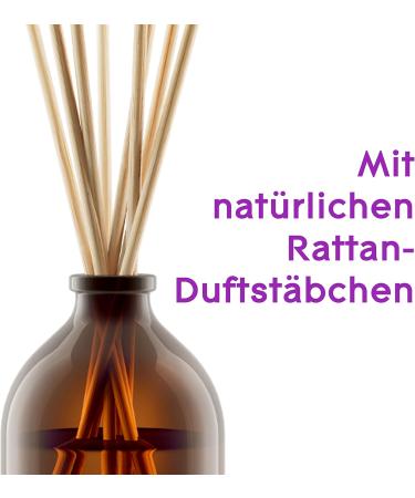 Glade Aromatherapy Essential Oils - Moment of Zen Lavender & Sandalwood Room Fragrance 80ml (Pack of 3) | International Shipping - Buy Online on GoSupps.com