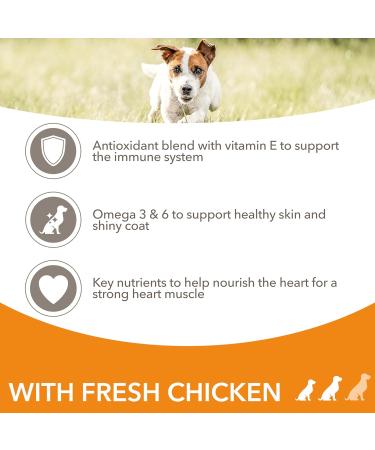 IAMS Adult Small Medium Dry Dog Food Chicken 3kg - Buy Online on GoSupps.com