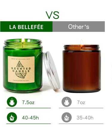 LA BELLEF E Scented Eucalyptus & Sage Candles | Soy Candles for Home & Gifts | Aromatherapy Stress Relief Decor - Buy Online on GoSupps.com