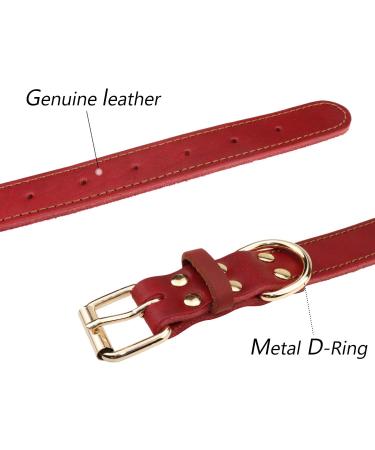 Personalized Leather Dog Collar - Engraved Name & Phone Number | Medium Size Coral Red - Tagme - Buy Online on GoSupps.com