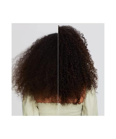 Paul Mitchell Clean Beauty Anti-Frizz Shampoo - 8.5 Fl Oz - Smooths & Calms Frizz - For Textured Hair - Buy Online on GoSupps.com