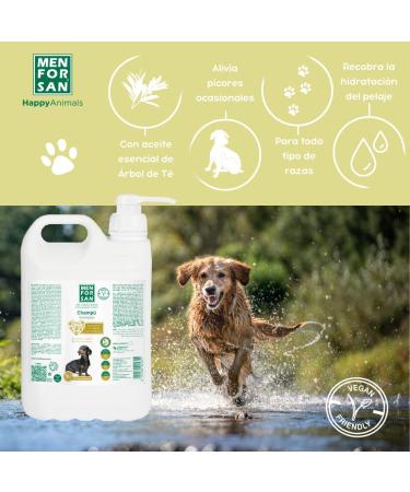 Buy San Chien Caramel Apple Shampoo for Men (5L) - Nourishing & Revitalizing Hair Care | International Shipping Available - Buy Online on GoSupps.com