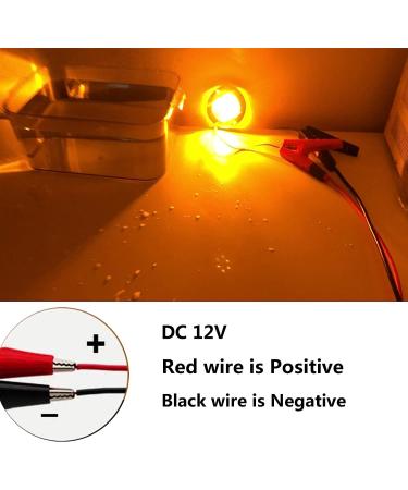 NBWDY 2PC LED Boat Light 12V 3in Amber Round Navigation Lights - Waterproof Interior & Transom Mount LED Deck/Courtesy Light - Buy Online on GoSupps.com