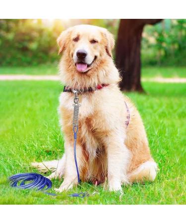 Buy Hofleine 3m/5m Dog Leash - Shock-Damping Cable Leash for Medium & Large Dogs | Ideal for Camping Garden Running & Park - Free Blue Color - Buy Online on GoSupps.com